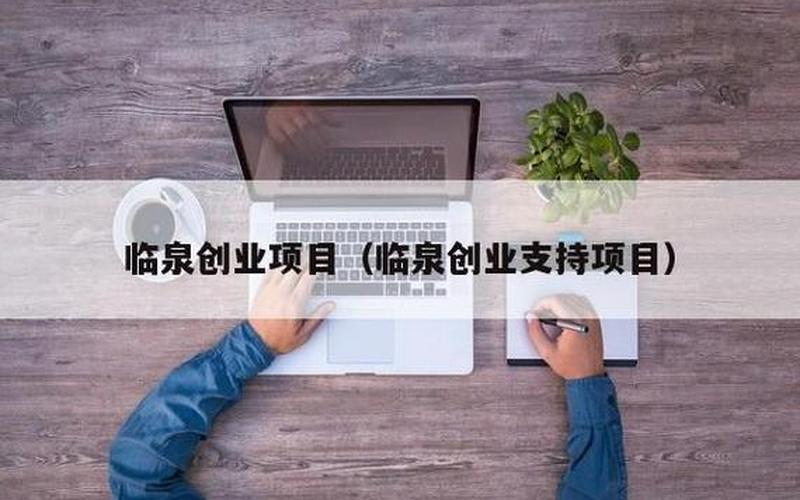 在临泉创业做什么，临泉做什么生意好做