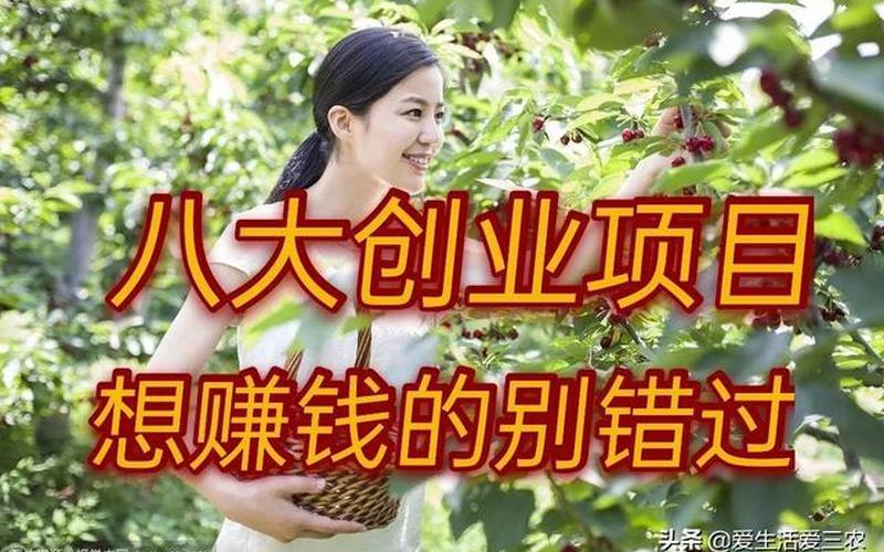 做什么创业赚钱的，创业做啥挣钱