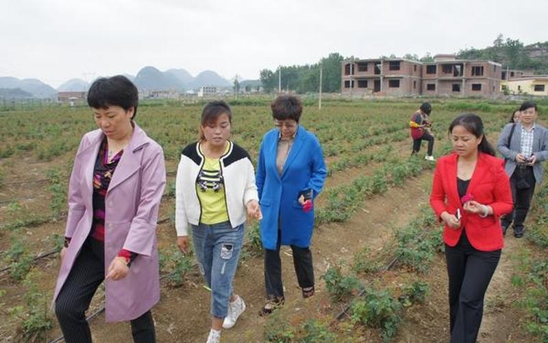回乡创业学什么好点呢女生，回乡有什么创业好项目吗