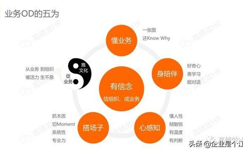 如何理解创业团队，如何理解创业团队的权限要素