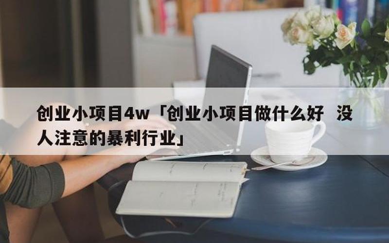 没钱创业项目做什么好，创业有好项目可是没有钱