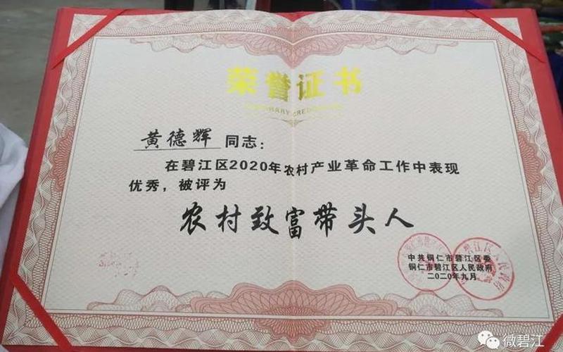 创业带头人什么意思，致富带头人是指