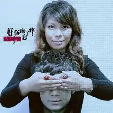 夫妻那些事的歌曲简介