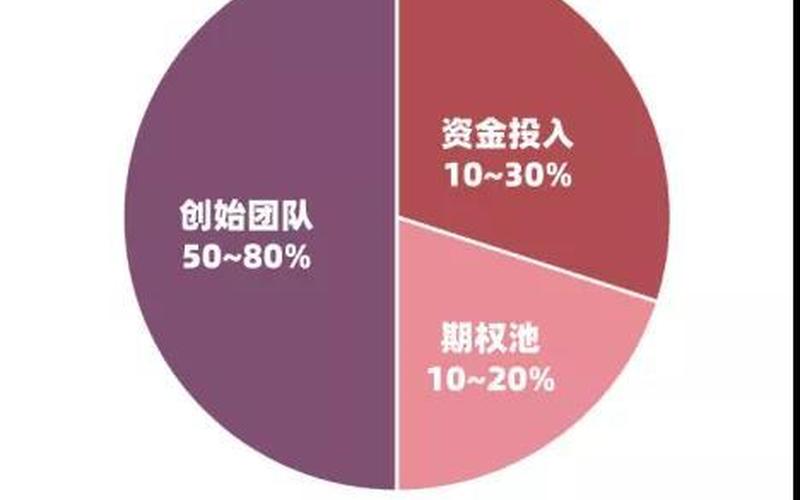 创业型公司如何分配，创业型公司股份分配