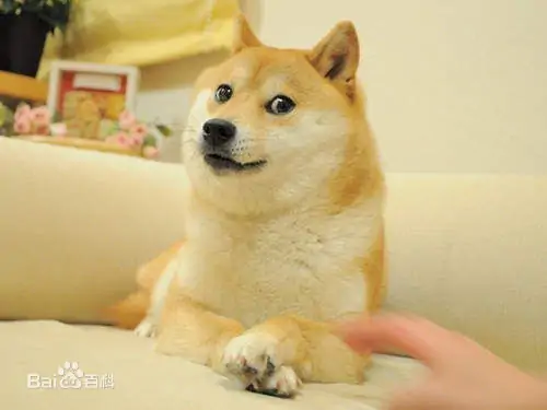 求这几个全系列的表情包(一个是doge一个是不知到名字小人)