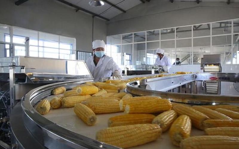 兴安盟怎么申请创业补贴，兴安盟养殖补贴