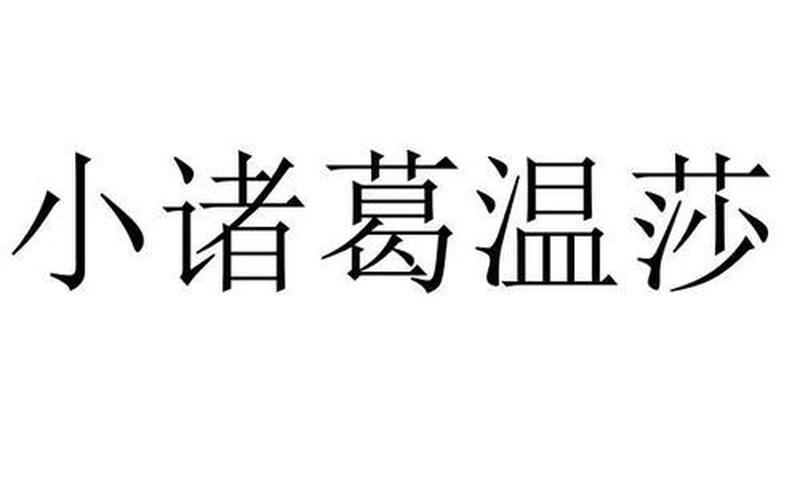 小诸葛怎么创业