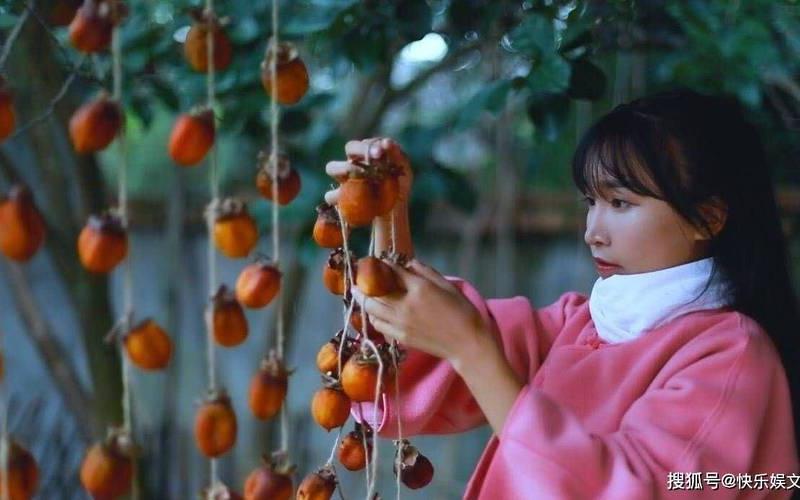 李子柒创业做豆腐怎么样，李子柒的靠什么赚钱