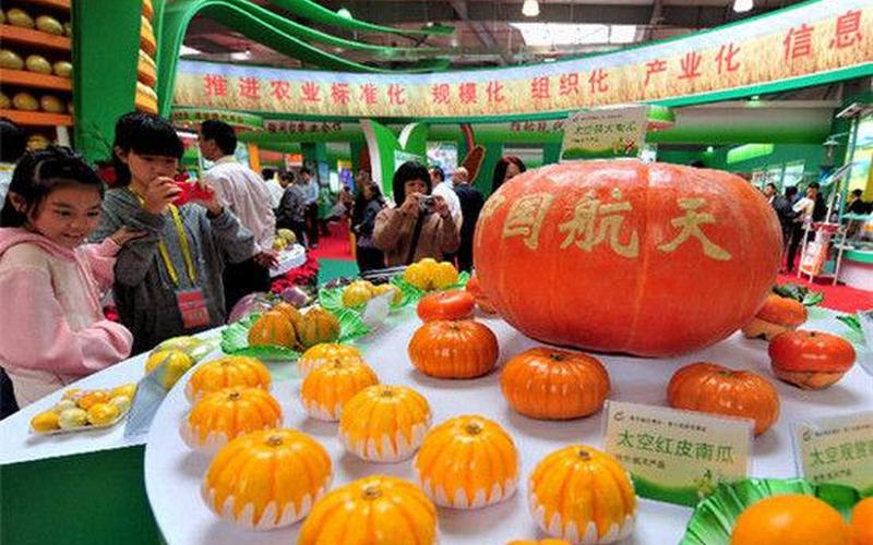 漳州农博会创业项目有哪些，漳州农博会批发市场