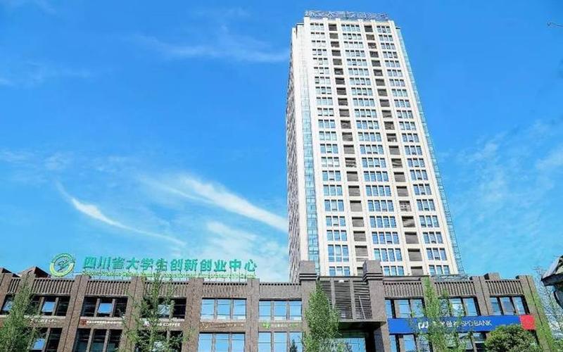 新洲创业服务公司有哪些，新的创业公司