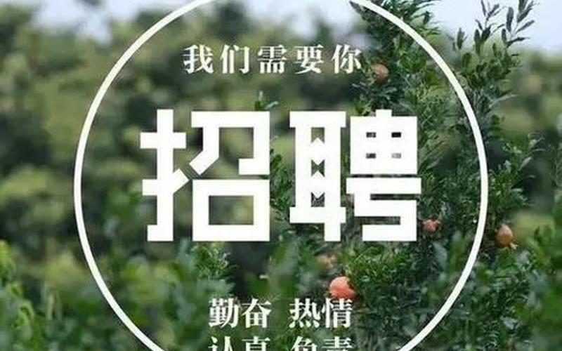 创业型企业怎么招聘，创业公司如何招聘人才