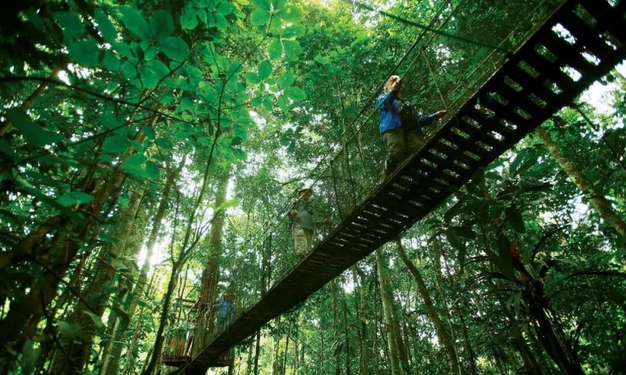 「动植物的天堂」为何却是「人类的禁区」?亚马逊雨林里有什么?_百度知 ...