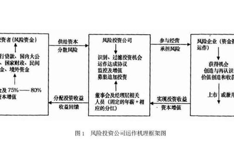 创业投资外部风险有哪些，创业投资的风险