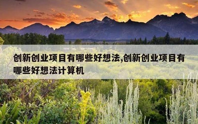 创业创新实践可要做什么，创新创业实践项目