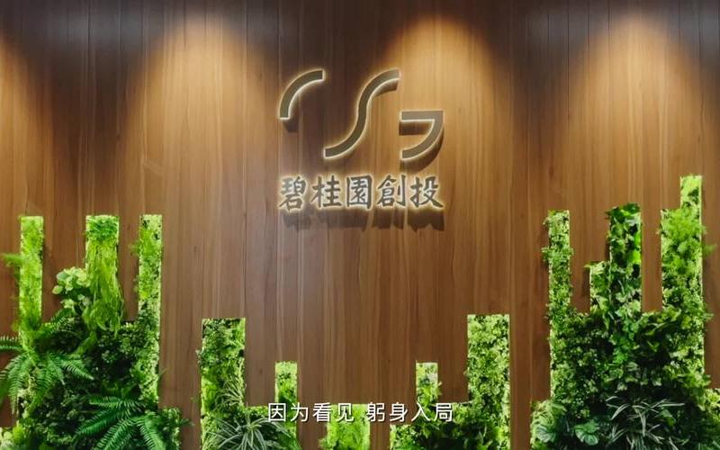 碧桂园如何创业，碧桂园创投公司成立
