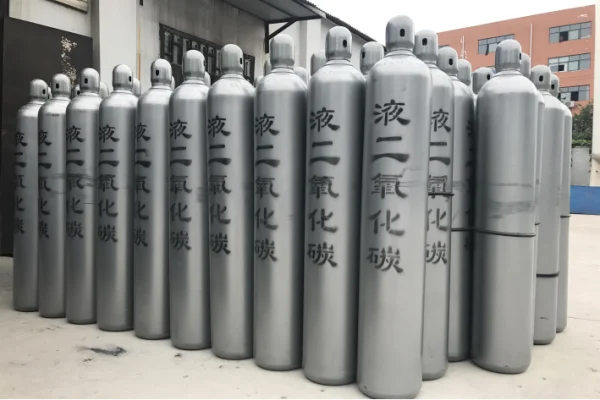 保持二氧化碳化学性质的最小粒子的化学式