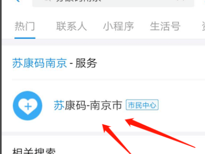 儿童苏康码显示身份已存在吗？