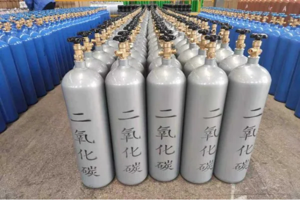 保持二氧化碳化学性质的最小粒子的化学式